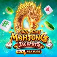 Bảo mật tối đa Halo88