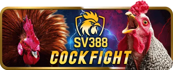 Đội ngũ chuyên gia Halo88